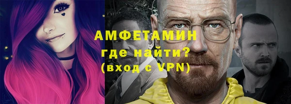 прущие грибы Беломорск
