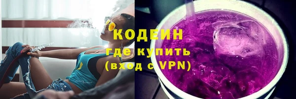 прущие грибы Беломорск