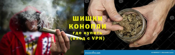 прущие грибы Беломорск