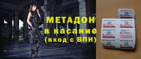 прущие грибы Беломорск