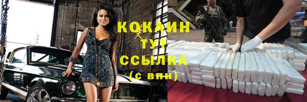 прущие грибы Беломорск
