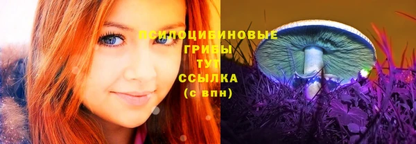 mdma Белокуриха