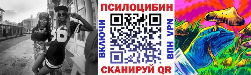 ОМГ ОМГ сайт  Печора  Псилоцибиновые грибы Psilocybe 